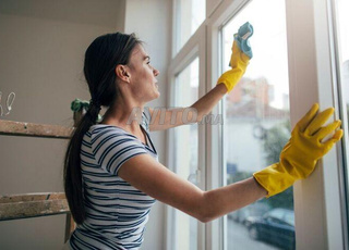 Agence Femme de ménage cuisinière nounou 