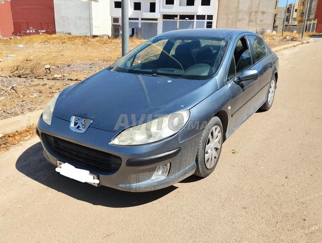  Peugeot 407