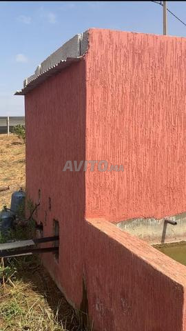 هكتار محفض واشجار افوكادو 14كم من بحراوي - 2