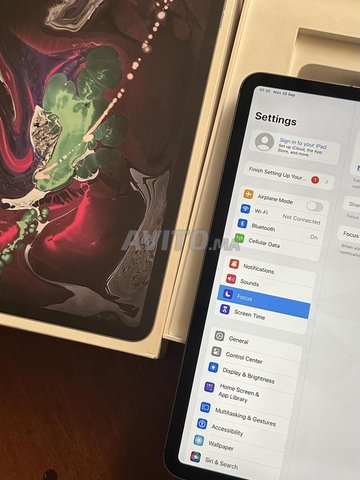 iPad Pro 11 2018 256Gb 4G Wifi