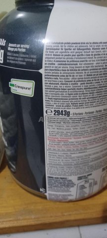 Protein Super Mass Gainer