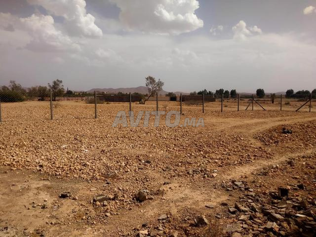 Avito Marrakech Terrain – Global Occaz Marrakech – LTAX