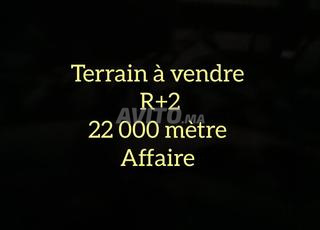Terrain 22000m2 zone R plus 2 al bostan