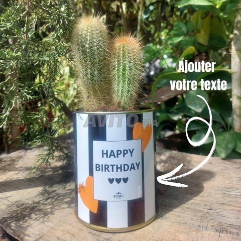 Pots de Cactus Personnalisés à Casablanca - cadeau