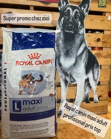 Royal canin maxi adulte 20 kg hotsell