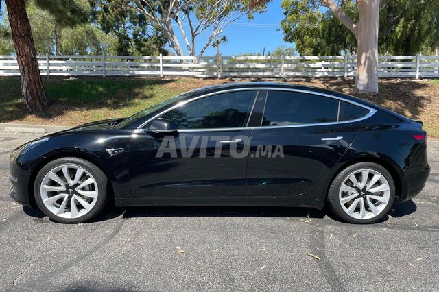 Tesla Model 3 occasion Electrique Modèle 