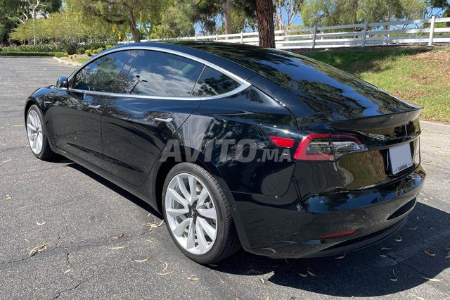 Tesla Model 3 occasion Electrique Modèle 