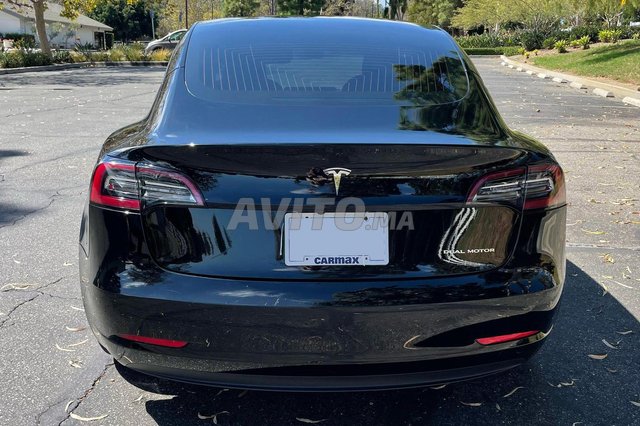 Tesla Model 3 occasion Electrique Modèle 