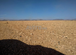 Terrain titré à 6km de Marrakech bon afir