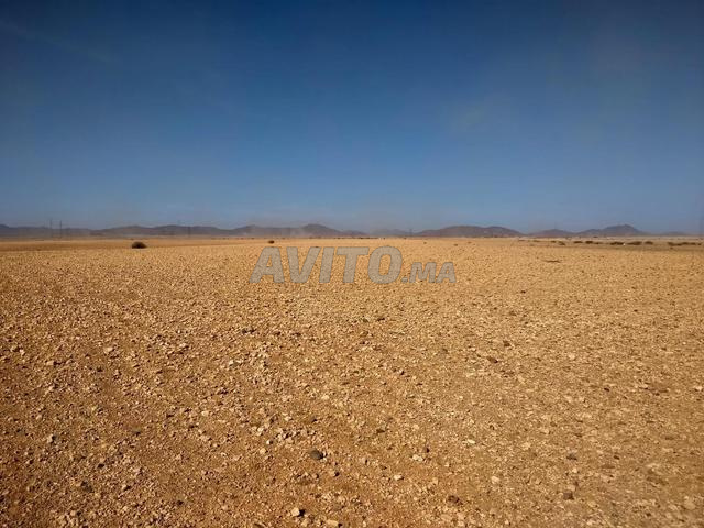Terrain titré à 6km de Marrakech bon afir - 2