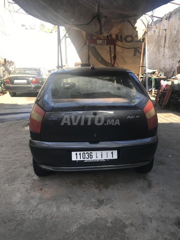 Fiat Palio occasion Diesel Modèle 