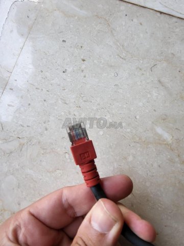 Câble Reseau Ethernet 5M 