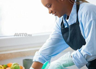 Agence Femme de ménage cuisinière nounou 