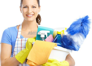 Agence Femme de ménage cuisinière nounou 