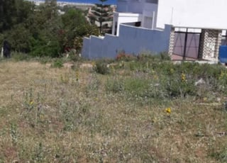 Terrain de 500m2 à vendre alhajrien madina Jadida