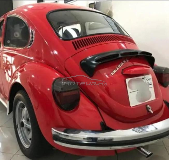 Coccinelle de collection 