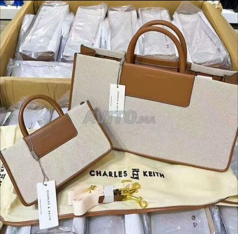 Une Selection de Sac Charles & Keith CK8970