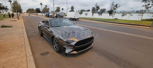 Ford mustang_cabriolet occasion Essence Modèle 