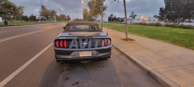 Ford mustang_cabriolet occasion Essence Modèle 