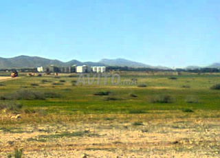 5ha titré à Marrakech