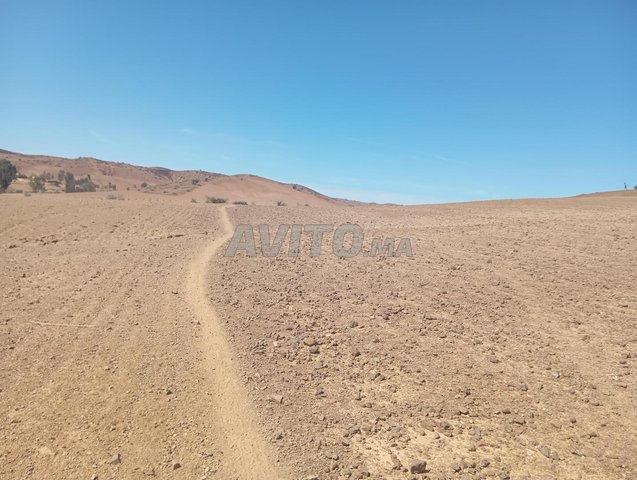 terrain 10 ha Sidi bettach