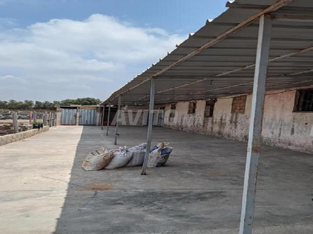 Magasin 400 m² à louer à Mediouna pour stock - 2