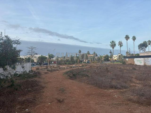 TERRAIN DE 3934 m² à Mohammedia en face café PAUL 
