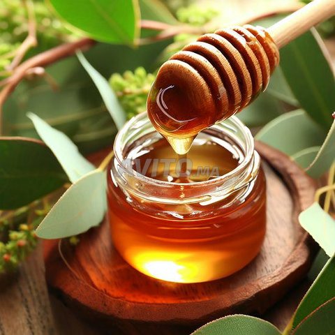 Miel Eucalyptus