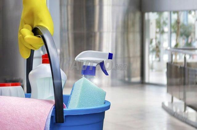 Agence Femme de ménage cuisinière nounou 