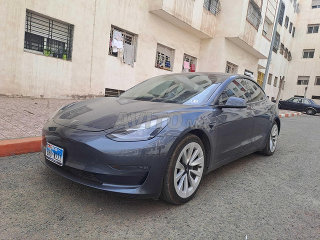 Tesla Model 3 occasion Electrique Modèle 