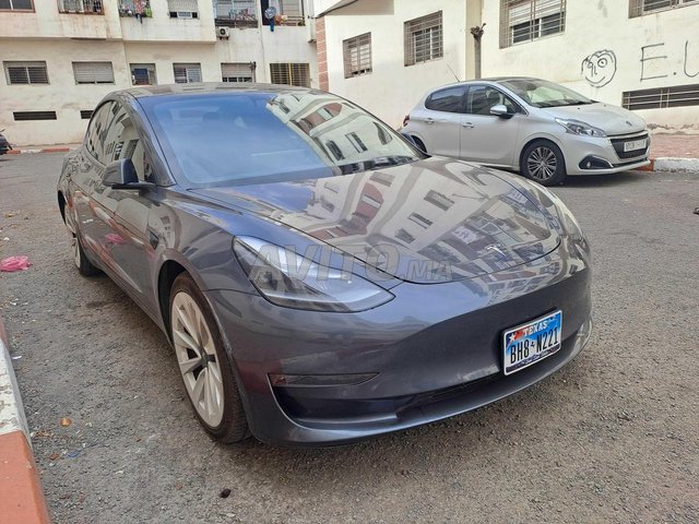 Tesla Model 3 occasion Electrique Modèle 