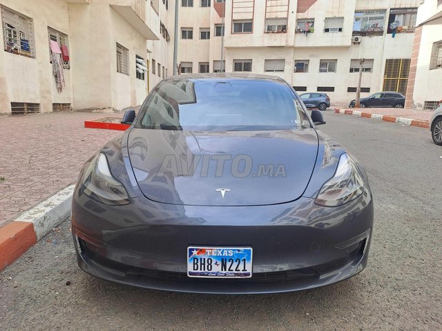 Tesla Model 3 occasion Electrique Modèle 