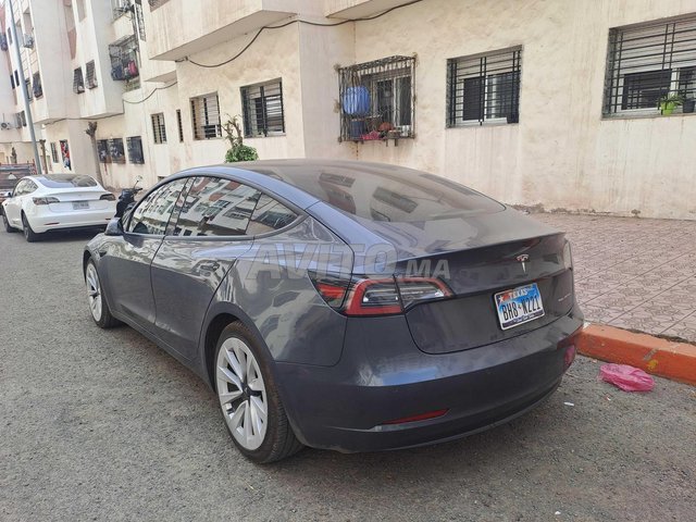 Tesla Model 3 occasion Electrique Modèle 