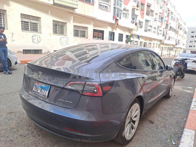 Tesla Model 3 occasion Electrique Modèle 