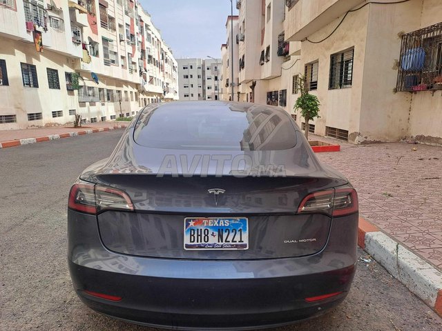 Tesla Model 3 occasion Electrique Modèle 