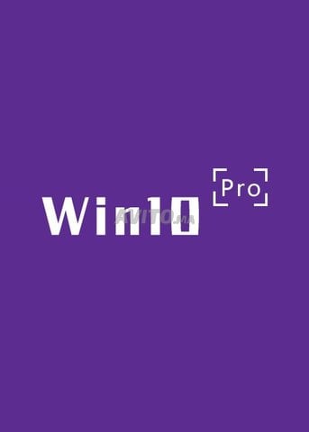 MS Win 10 Pro-Lifetime مدى الحياة 