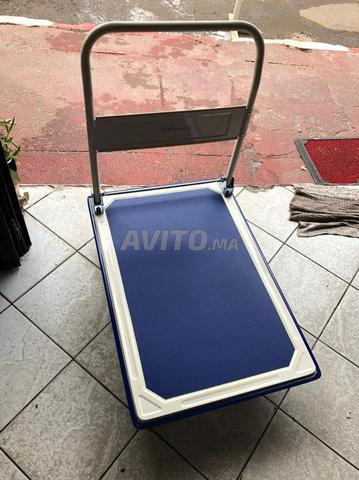 chariot 150 KG/ 300 KG - 2