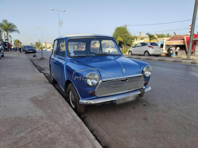 Mini Austin collection 