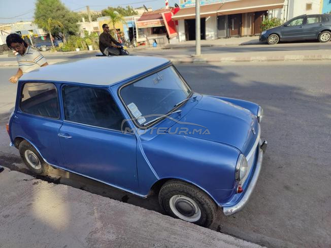 Mini Austin collection 