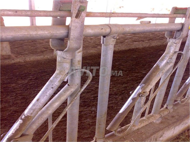 Cornadis pour Vache Lot de 3 unités.  21 Places