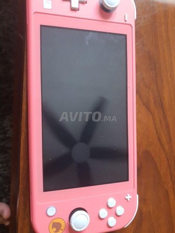 switch lite flashé