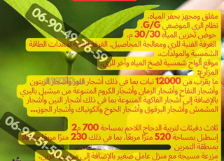 Ferme 17 Hectares Équipée Ferme Équipée Oued El Heïmer