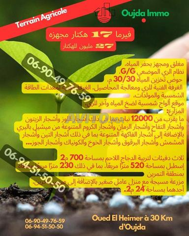 Ferme 17 Hectares Équipée Ferme Équipée Oued El Heïmer