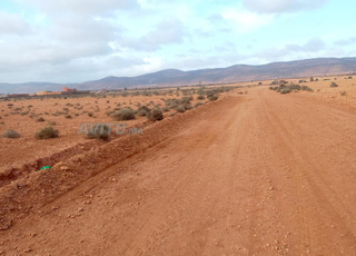 Terrain titré 8000m2 Région de Tiznit