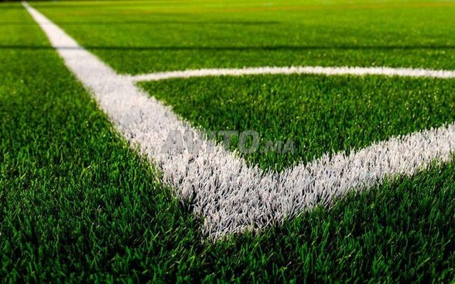 gazon.sport.football.revetement .parc.club
