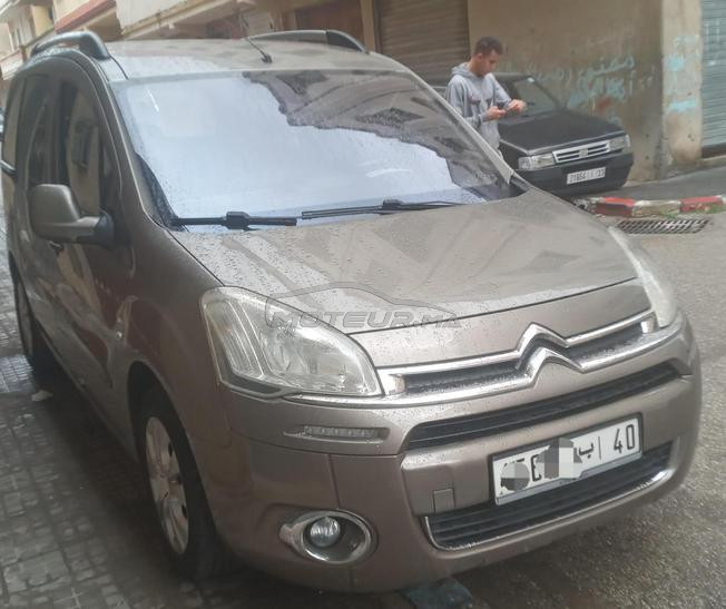 Peugeot Tepee 
