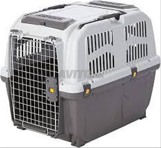 Cage de transport Skudo (IATA) Taille 7