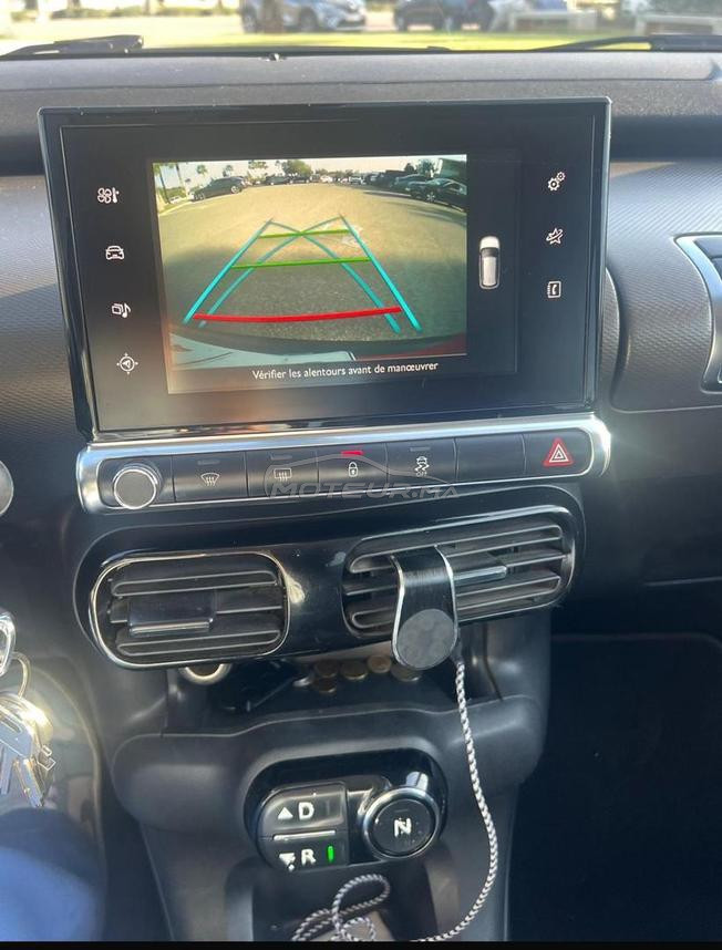  C4 cactus en Excellente état