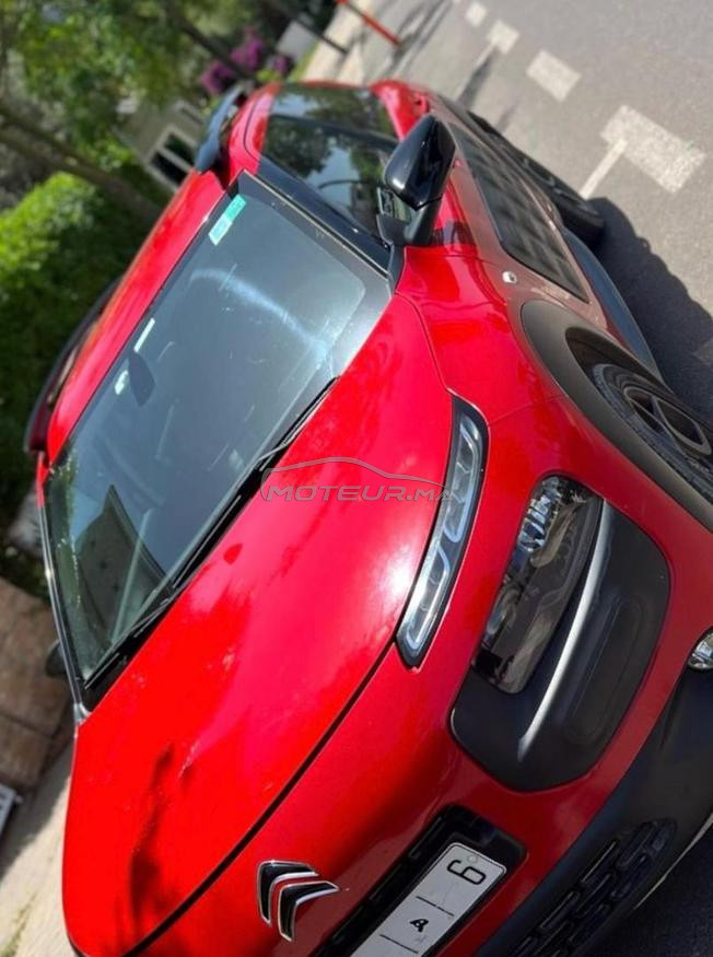  C4 cactus en Excellente état