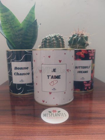 Pots de Cactus Personnalisés